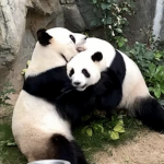 Snímka obrazovky 2020-04-08 o 15.50.42