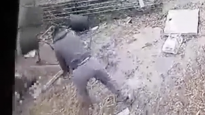 VIDEO: Muž surovo dobil susedovho psa. Hrozí mu trest odňatia slobody na 2 roky!