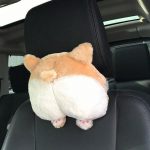 15223707-image-crop-629×607-1581504373-728-5d3c65c2f5-1581923187