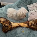 15299052-nw0iz28qguq41-1588087103-728-aad38a75a0-1588868967