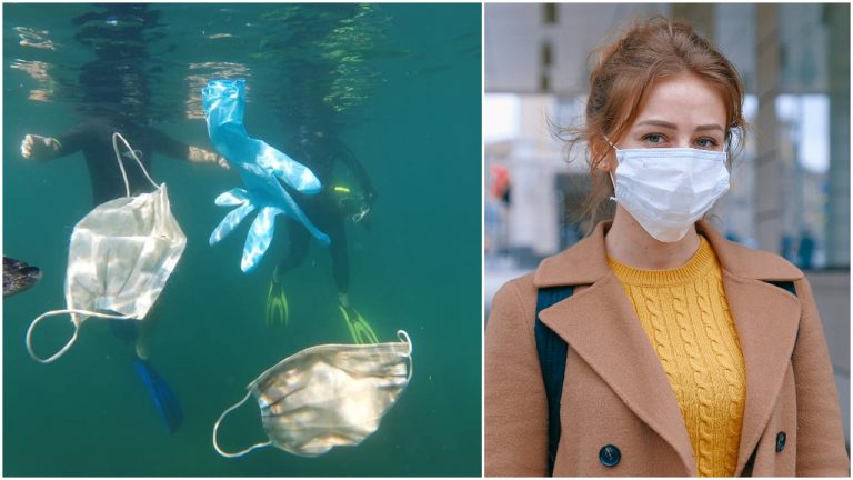 V oceánoch a moriach sa hromadí odpad: Odhodené rúška a rukavice prevýšia aj počet medúz!