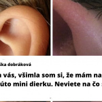 Snímka obrazovky 2020-08-16 o 10.02.12