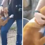 rescue-dog-hugs-reporter-adopted-coverimage