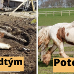 Snímka obrazovky 2020-08-21 o 17.36.55