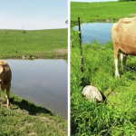 Snímka obrazovky 2020-10-10 o 10.00.08