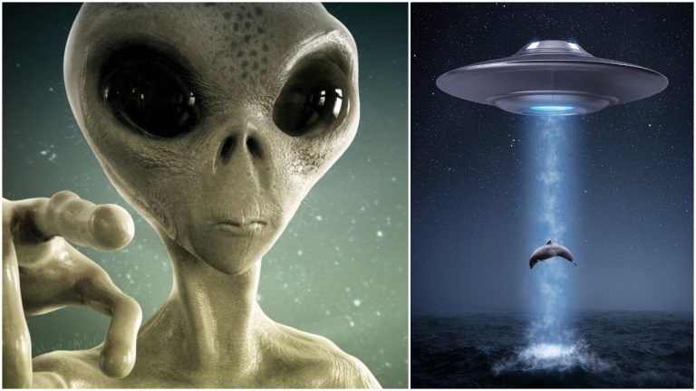 Expert verí, že mimozemšťania na Zem neprídu, pretože sme príliš hlúpi