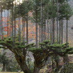 Snímka obrazovky 2021-03-30 o 13.56.12