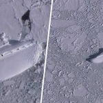 Snímka obrazovky 2021-04-02 o 13.15.42