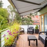 climax_markiza_segno-2