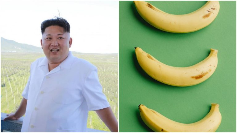Severná Kórea čelí potravinovej kríze. Kilo banánov tam stojí približne 35 eur