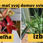 Snímka obrazovky 2021-10-06 o 15.30.20