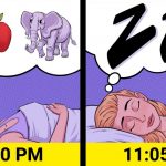 c4433b56ec893754d5a0ffe710