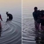 48181461-0-image-a-14_1632205603582