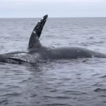 Snímka obrazovky 2021-11-17 o 10.26.33