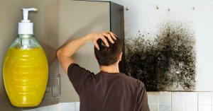 Najlepšia rada, ako zničiť pleseň u vás doma. U nás sa po tomto už NIKDY neobjavila
