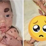 Snímka obrazovky 2022-03-25 o 11.08.18