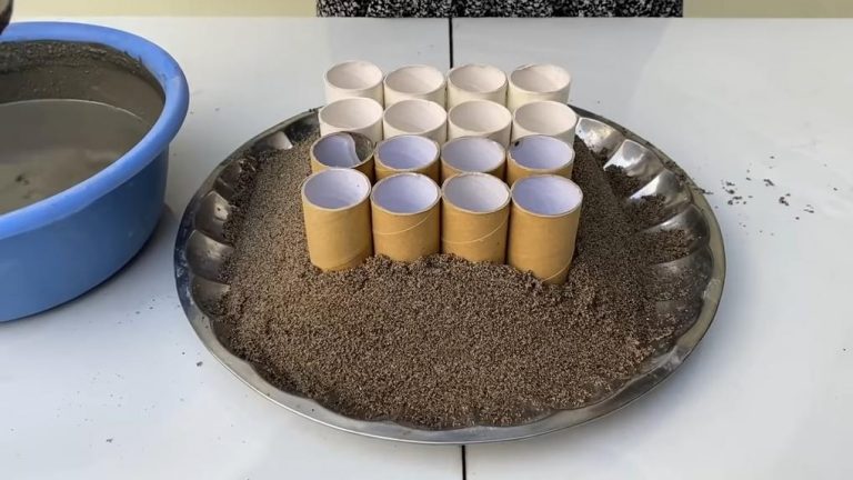 Papierové rolky u nás nevyhadzujeme. POZRITE SA, akú krásu z nich môžete mať