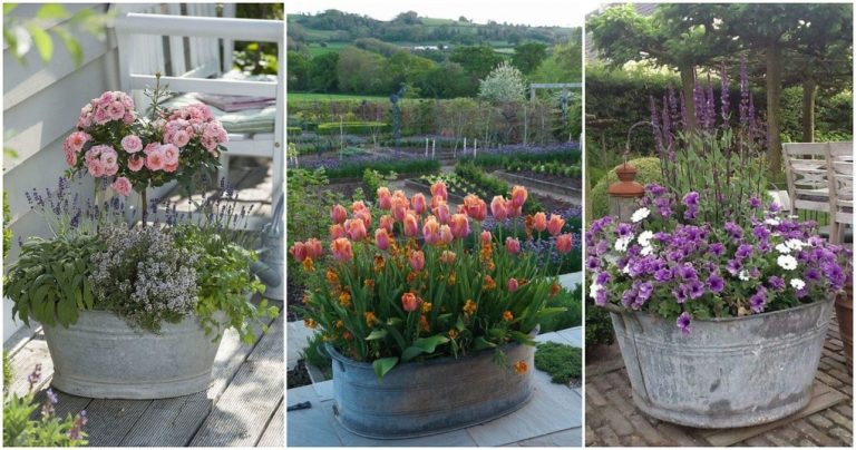 Plechové vedrá nevyhadzujeme. POZRITE SA, AKÚ NÁDHERU môžete mať aj vy