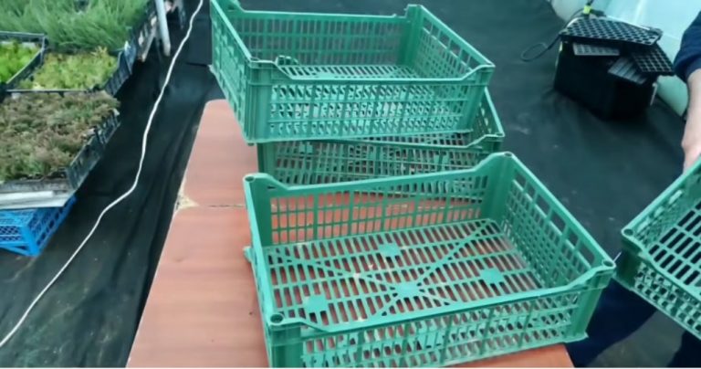 Skleníky a vysoké záhony – dva v jednom. Vlastnými rukami za pár centov – ÚŽASNÁ POMOC