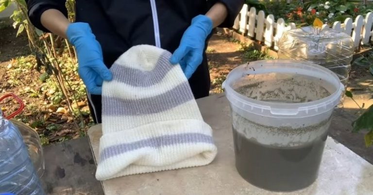 STARÉ ČIAPKY NEVYHADZUJEME. Manžel mi poradil čo s nimi urobiť krásne do záhrady