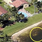 Snímka obrazovky 2022-05-04 o 20.09.16