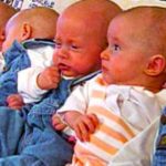 septuplets-now-533×261