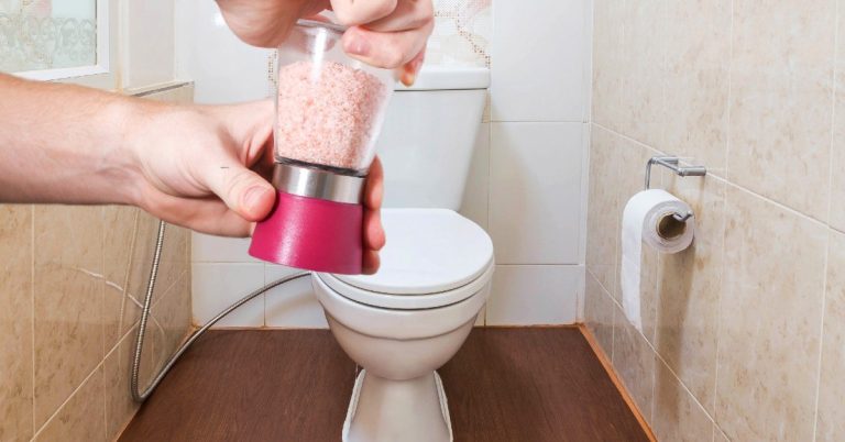 Prečo Japonci dávajú do toalety vrecúško naplnené soľou? TOTO BY MA NENAPADLO