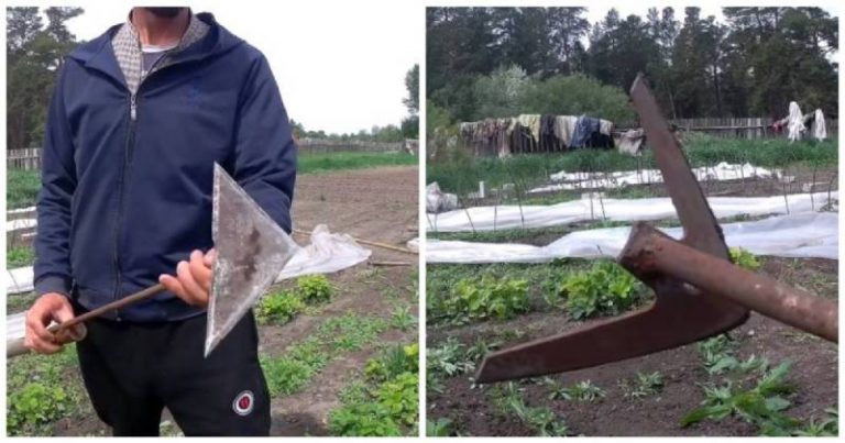 TOTO JE LEPŠIE AKO MOTYKA. Takto som sa zbavila buriny raz-dva