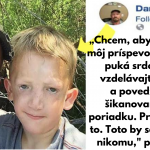 Snímka obrazovky 2022-06-26 o 8.30.31
