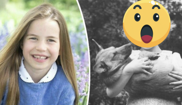 Neuveríte, na koho sa princezná Charlotte podobá z kráľovskej rodiny. PODOBA JE TAKMER 100%