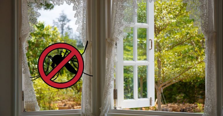 Tip: Ako spať s otvoreným oknom v lete bez toho, aby vás otravovali komáre? POMÔŽE TENTO TRIK