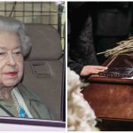 Collage Maker-20-Sep-2022-07.32-AM