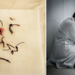 Snímka obrazovky 2022-10-13 o 17.03.26