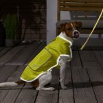 113991_01_VML-Hundeweste mit Reflektoren_1_029_praesentationsbild-png