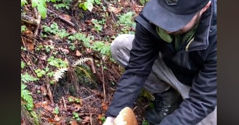 Video: Muž našiel v lese obrovskú hubu, ktorú by mi závidel každý hubár. Niečo podobné nájdete raz za život