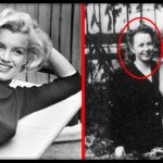 COVERPIC-2_впвчапкчRED