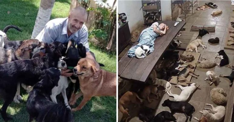 Muž sa vzdal všetkého, aby sa postaral o 800 opustených psov. Spí s nimi, aby im bol bližšie