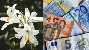 Tento magický kvet priťahuje Slovákom bohatstvo a šťastie. Vo váze vyzerá prekrásne