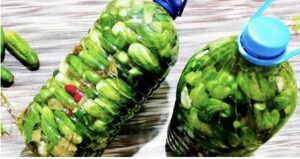 5-litrovú nádobu zjeme za 2 dni: najjednoduchší a najspoľahlivejší spôsob nakladania uhoriek