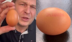 Zobral kupované vajíčka a ukázal celú pravdu. Nenechajte sa oklamať od nepoctivých predajcov