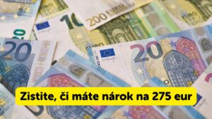 NOVÁ povinnosť zamestnávateľov. SLOVÁCI NEVEDIA, ŽE OD NEHO MÔŽU získať až 275  €