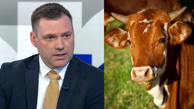 Taraba: Farmy si za šírenie slintačky môžu samy. Žiadne odškodné!