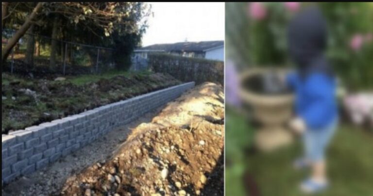 Mojej záhrade sa v susedstve smial. Potom som zobrala do rúk lopatu a zmenila ju na prekrásne dielo, ktoré každý obdivuje