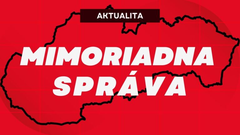 BLESKOVÁ SPRÁVA: Na Slovensku SA OBJAVILO ohnisko afrického moru ošípaných. MUSIA UTRATIŤ 18 000 KUSOV ZVIERAT