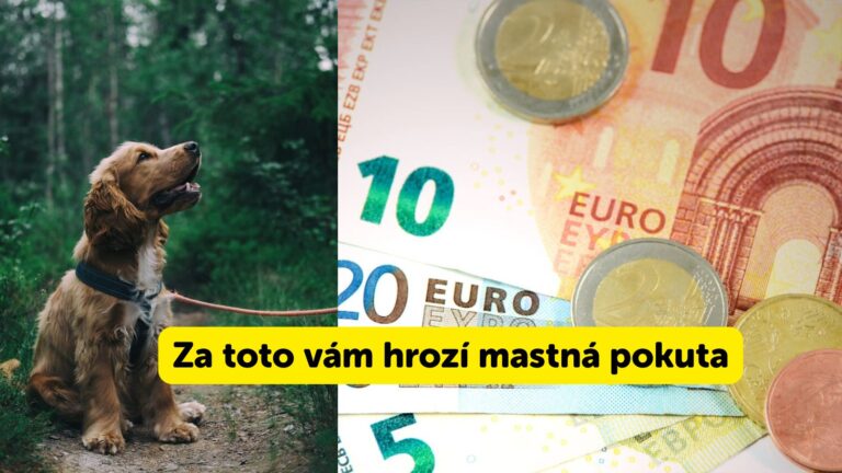 Prechádzka so psom vás môže stáť až 3000 eur: Pozor na časté chyby!