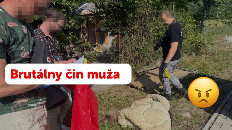 BRUTÁLNY ČIN: Muž mal umlátiť 3-mesačné šteniatko, hrozí mu ÚPLNE SMIEŠNY TREST