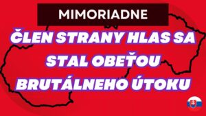 MIMORIADNE: V garaži napadli ČLENA STRANY HLASU. Mali do udrieť do HLAVY