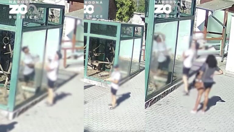 VIDEO: AJ NAPRIEK ZÁKAZU kŕmili v zoo zvieratá čím nemali. SKORO umreli