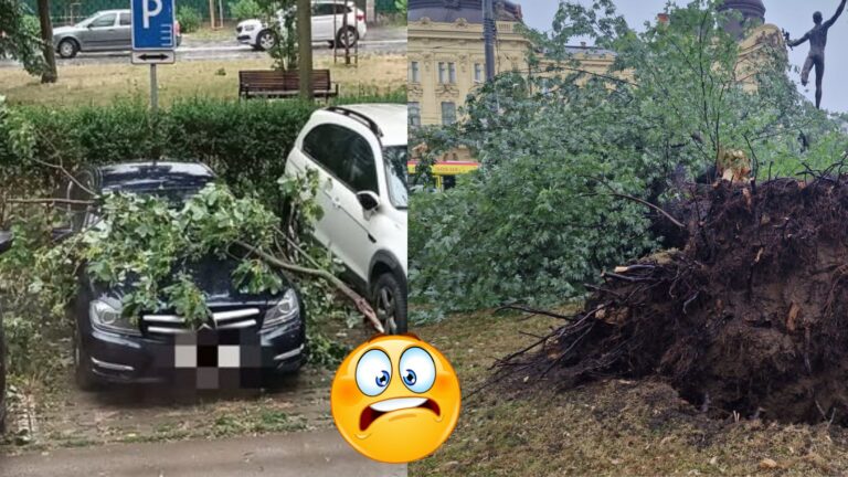 KOŠICE ZASIAHLA Búrka ako z apokalypsy: Vietor zničil stromy. TAKÚ SPÚŠŤ MESTO NEZAŽILO
