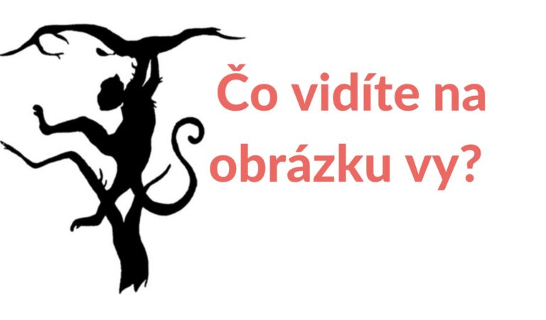 Čo vidíte na tomto obrázku? Existujú 2 možnosti, vaša voľba ukáže, ako funguje váš mozog